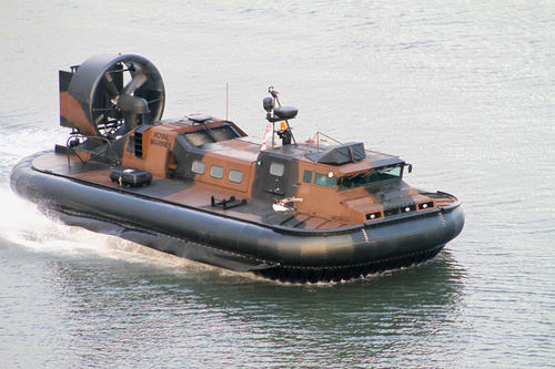 25250-7102719.jpg