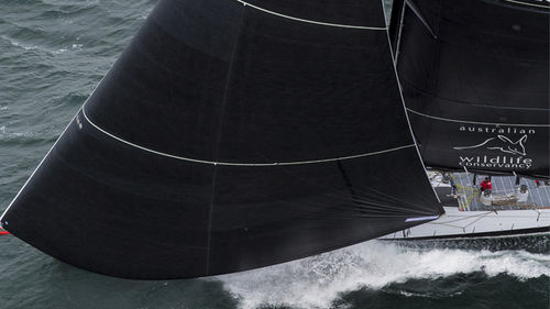 海洋レースセーリングスーパーヨット - COMANCHE - Hodgdon