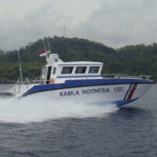 監視船業務用ボート - X38 - North Sea Boats - カタマラン / 船外機 / ディーゼル