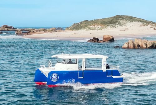 潜水サポート船業務用ボート - PIXSEACAT 900 - BORD A BORD - カタマラン / 船外機 / アルミニウム