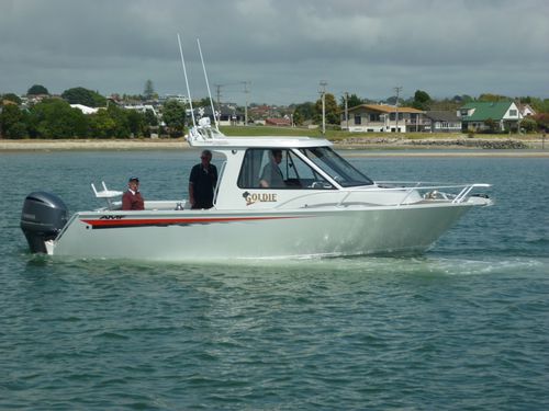船外機キャビンクルーザ - 720 Pro  - AMF Boat Company - ハードトップ / スポーツ / スポーツフィッシング