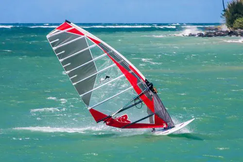 スラローム用ウインドサーフィンセイル - TR2016 - Mauisails - レース用 スラローム用ウインドサーフィンセイル - TR2016 - Mauisails - レース用