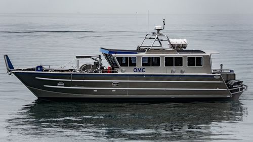 上陸用舟艇業務用ボート - 4615-HTC - Armstrong Marine - カタマラン / 船外機 / アルミニウム