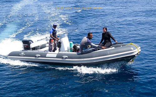 潜水サポート船業務用ボート - DM600 - Tiger Marine - 船外機 / 複合艇