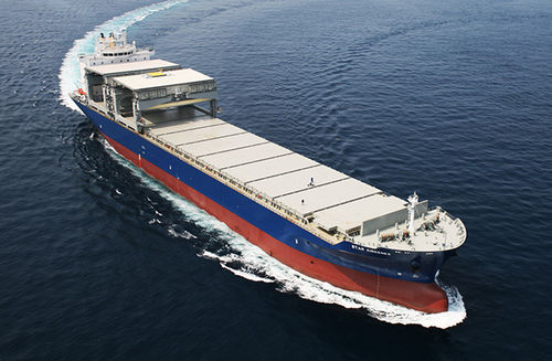 ばら荷貨物船貨物船 - 49k OHGCC - HYUNDAI MIPO DOCKYARD