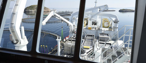 活魚ハンドラー商業用漁船 - HAVTRANS - Havyard Group