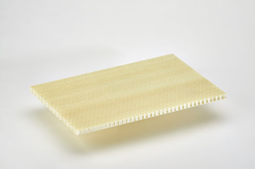 船舶の整備サンドイッチパネル - POLISTEP - Cel Components s.r.l.  - ポリプロピレン製ハニカム / ポリプロピレン / ガラスファイバー