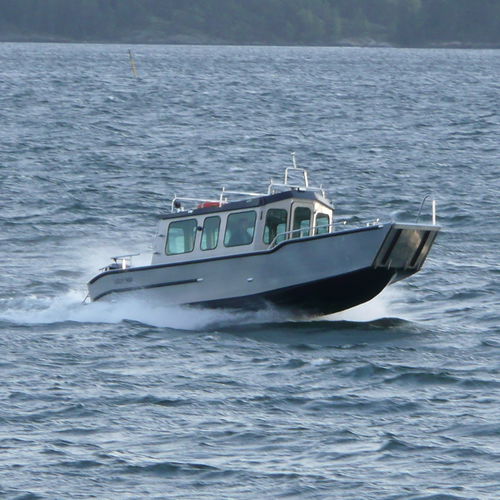 上陸用舟艇業務用ボート - C800 WT  - MS Boat - 船外機 / アルミニウム