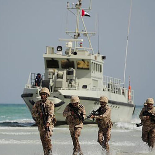 監視船業務用ボート - 24 M FAST GUN - Swede Ship Marine AB - 船内機