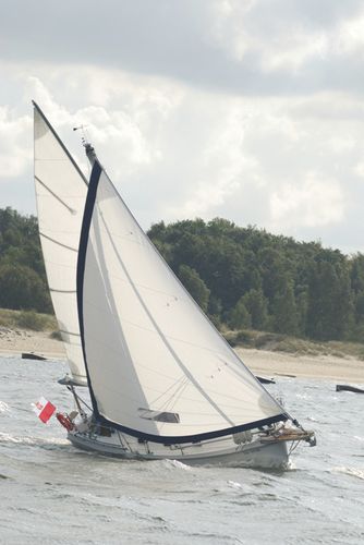 クルージングヨット - 800 - HABER YACHTS Sp. z o.o.  - ベッド5台 / 室内コックピット付き / バウスプリット付き