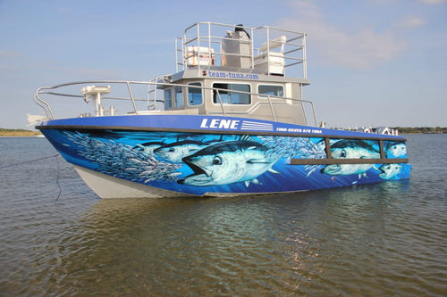 業務用漁船業務用ボート - 870 Tuna - Tinn-Silver aluminium boats - 船内機 / アルミニウム