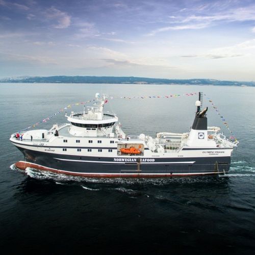 トロール漁船商業用漁船 - OLYMPIC PRAWN - Cemre Shipyard