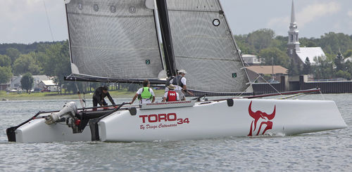 カタマラン - TORO 34S - Design Catamaran Inc - クルージング・レース / ベッド4台 / 牽引