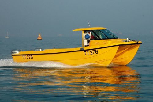 カタマラン漁船 - Pride N Joy - Cheetah Marine - 船外機 / ツインエンジン / ハードトップ