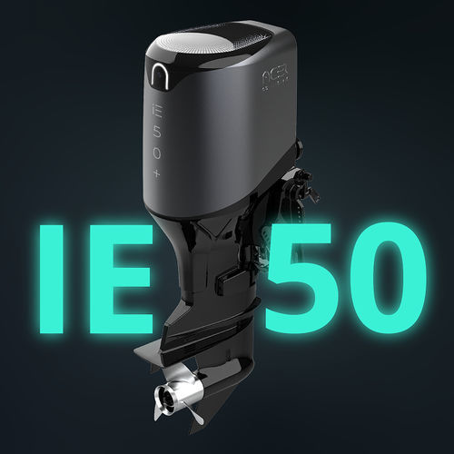 船外機 - IE 50 - ACEL Power - 電動式 / クルージング用 / 水冷式