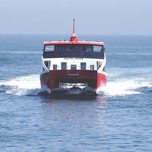 遊覧船業務用ボート - 2500 FCAT DAYLINE - ARESA SHIPYARD - カタマラン / 船内機 / GRP