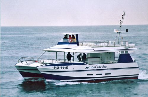 遊覧船業務用ボート - SPIRIT OF THE SEA  - Drassanes Dalmau, S.A - カタマラン / 船内機