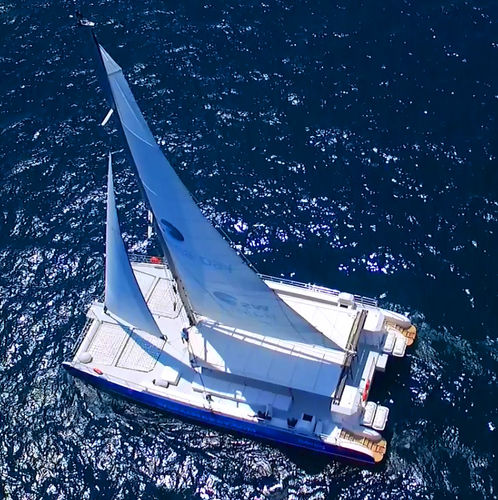 客船業務用ボート - Ws Palma Bay - Drassanes Dalmau, S.A - カタマラン / 船内機