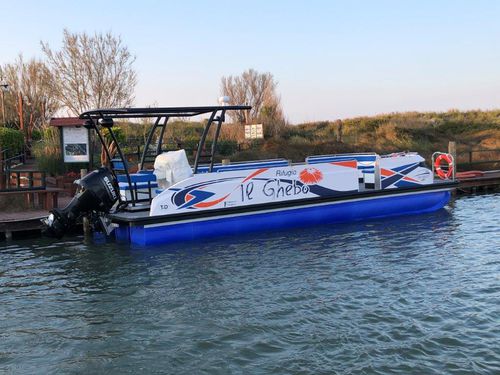 監視船業務用ボート - Starlounger 10.0 - Swiss-Boats AG - 作業船 / 遊覧船 / 水上バス