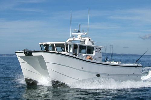 業務用漁船業務用ボート - Crimson Tide - Catapult Catamarans Marine Projects Ltd - カタマラン / 船内機