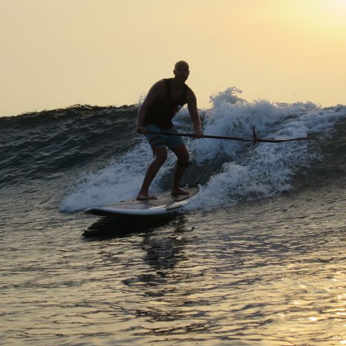 多目的用SUP - 10'6 - Indiana Paddle & Surf - エポキシ樹脂系 / 木材 / 発泡体