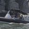 船外機インフレータブルボートSP 600Highfield boats