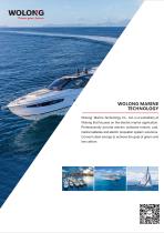Wolong electric outboard motor - 3