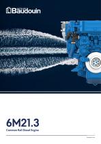 6M21.3 IMO III