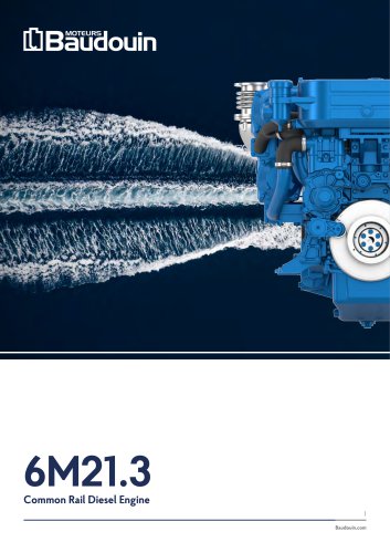 6M21.3 IMO III