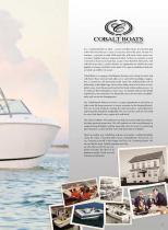 Cobalt Brochure 2015 - 5