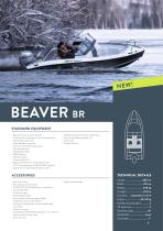 Silver 2020 - Brochure - 5