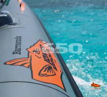 BROCHURE BARRACUDA 650 - 12