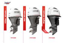 4 stroke, 4 stroke XSR, 2 stroke-6