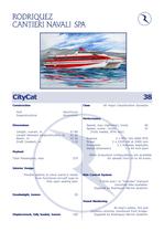 CITYCAT38-1