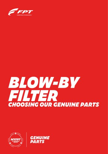 BLOW-BY FILTER