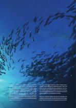 General Catalogue-3