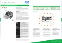 Rotary Lobe Pumps 06 - 2