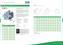 Rotary Lobe Pumps 06 - 3