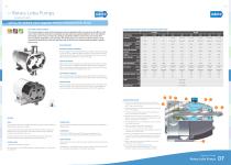 Rotary Lobe Pumps - 2