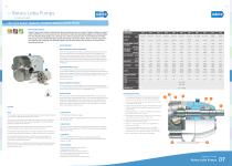 Rotary Lobe Pumps - 3