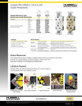 Hubbell-PRO 15A & 20A 250V Duplex Receptacles - 2