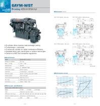 6AYEM-ET - 14