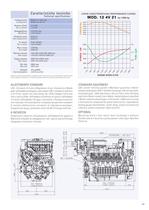 12_4V_21-scheda.pdf - 2