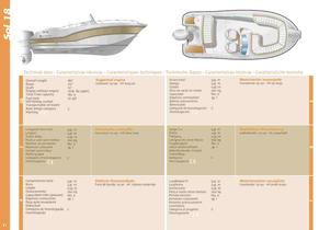 Scarani sol - 10