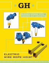 Electric wire rope hoist - 1