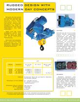 Electric wire rope hoist - 2