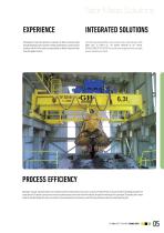 Waste-to-Energy cranes (zh) - 5