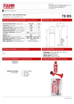 tebs_sti_0-1