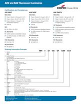 42W VMV- 84W DMV Flyer - 2