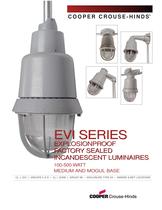 EVI Series - 1